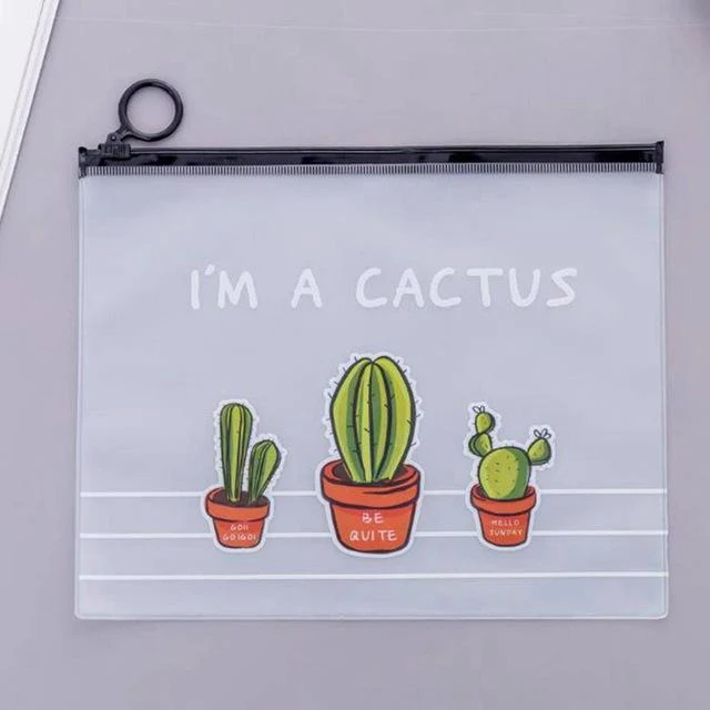 Trousse de toilette transparente cactus - Image 3